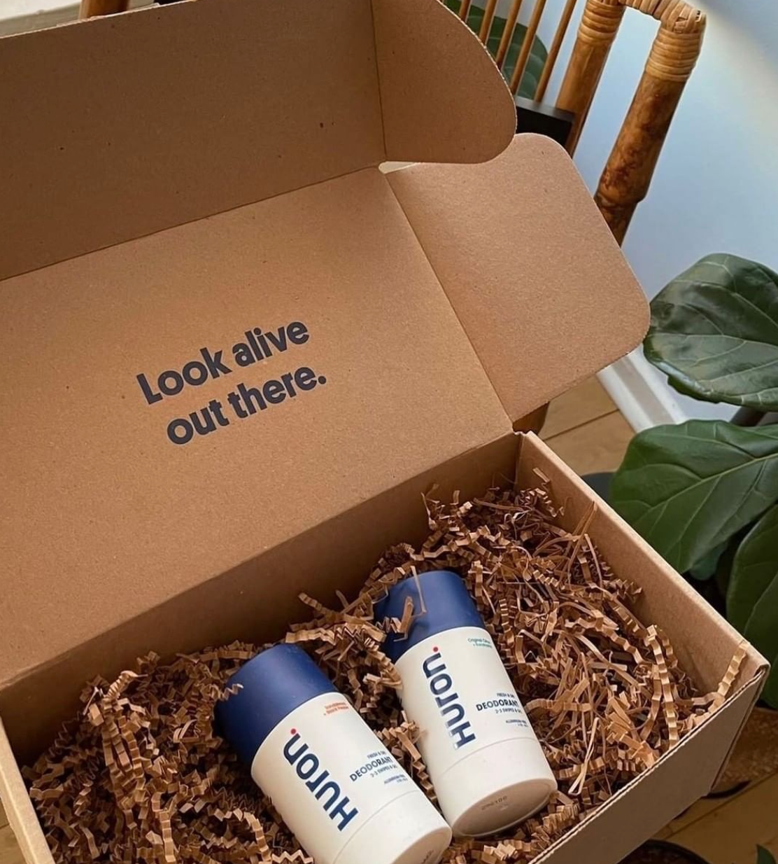 Deodorant tubes lie in recycled shredded paper in a cardboard shipping box.
