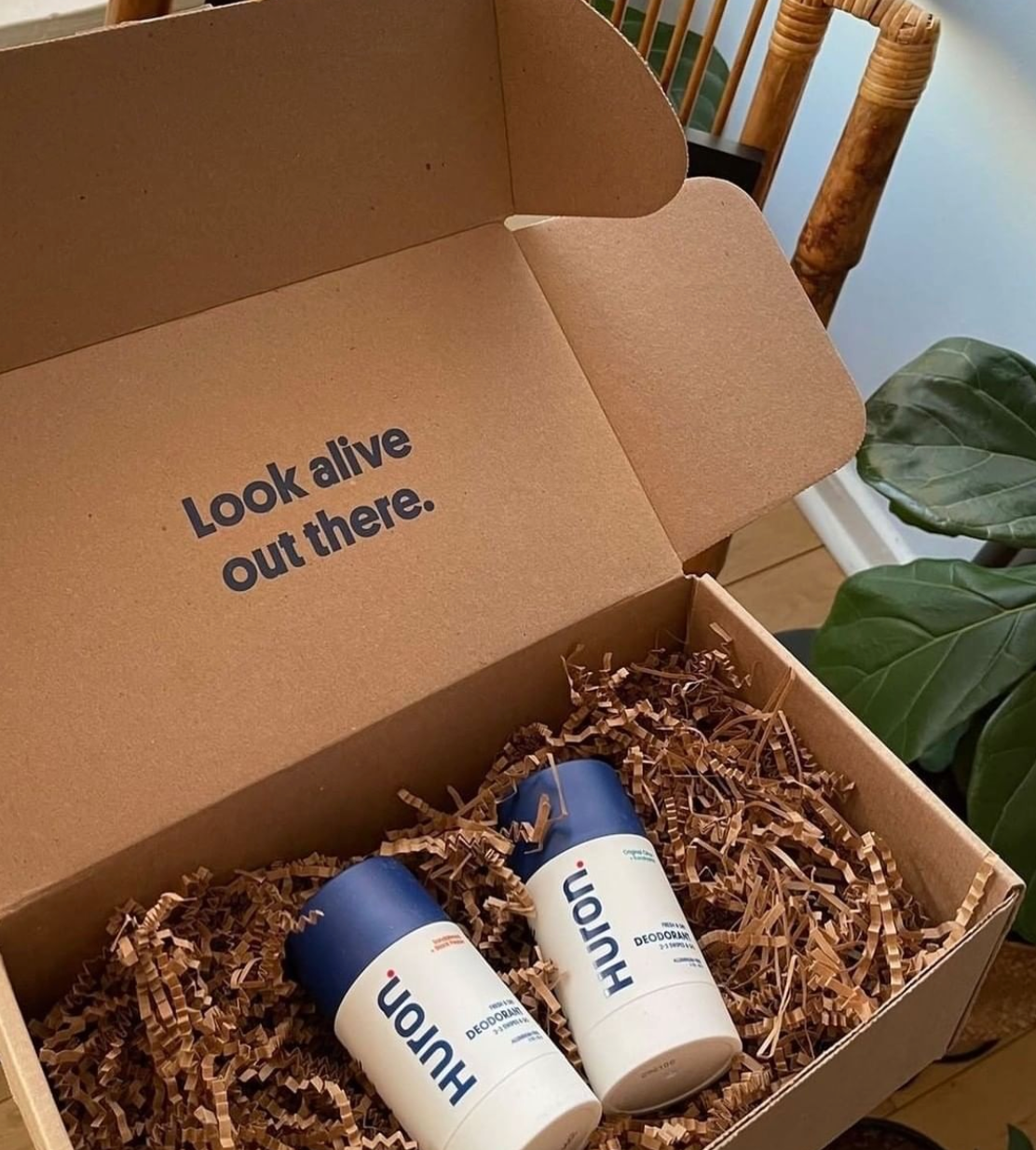 Deodorant tubes lie in recycled shredded paper in a cardboard shipping box. 